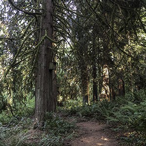 Cloud Mountain Retreat Center