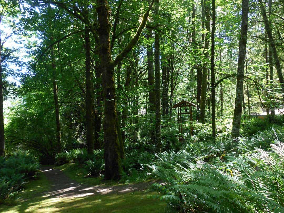 Cloud Mountain Retreat Center - Bell Tower