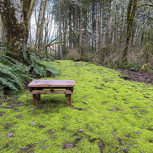 Cloud Mountain Retreat Center - bench on walking path