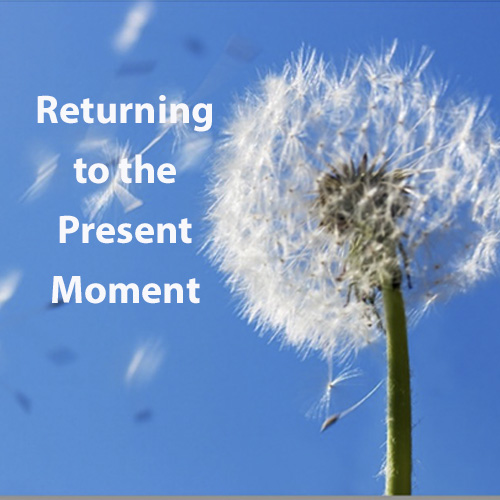 Teaching the Threes - SIMS Annual Teaching Series - 2023 - Returning to the Present Moment