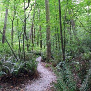 Carkeek Park, Seattle