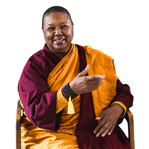 Venerable Pannavati at Seattle Insight