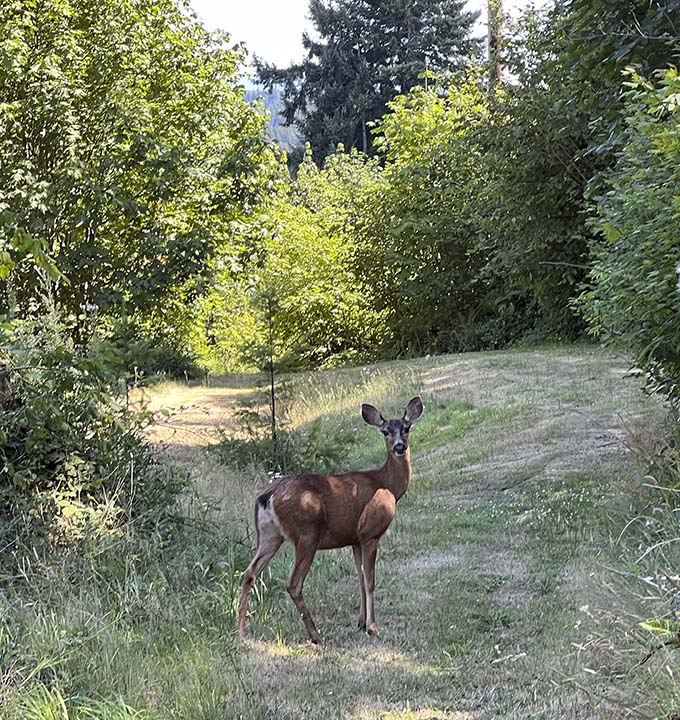 Cloud Mountain Retreat Center