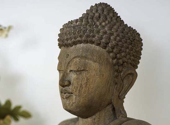 Buddha at Seattle Insight