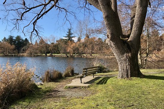 Green Lake Park, Seattle, Washington - Meditation Walk