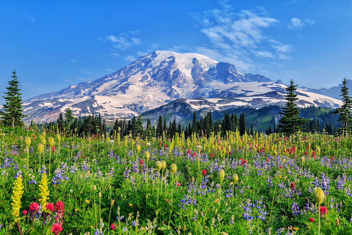 Mount-Rainier-1200x804-3334522802
